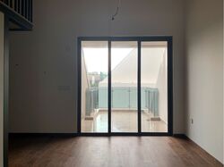 Parksuites (D10), Apartment #394034891